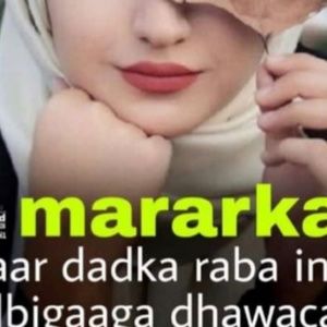 Meet your Posher, Liban